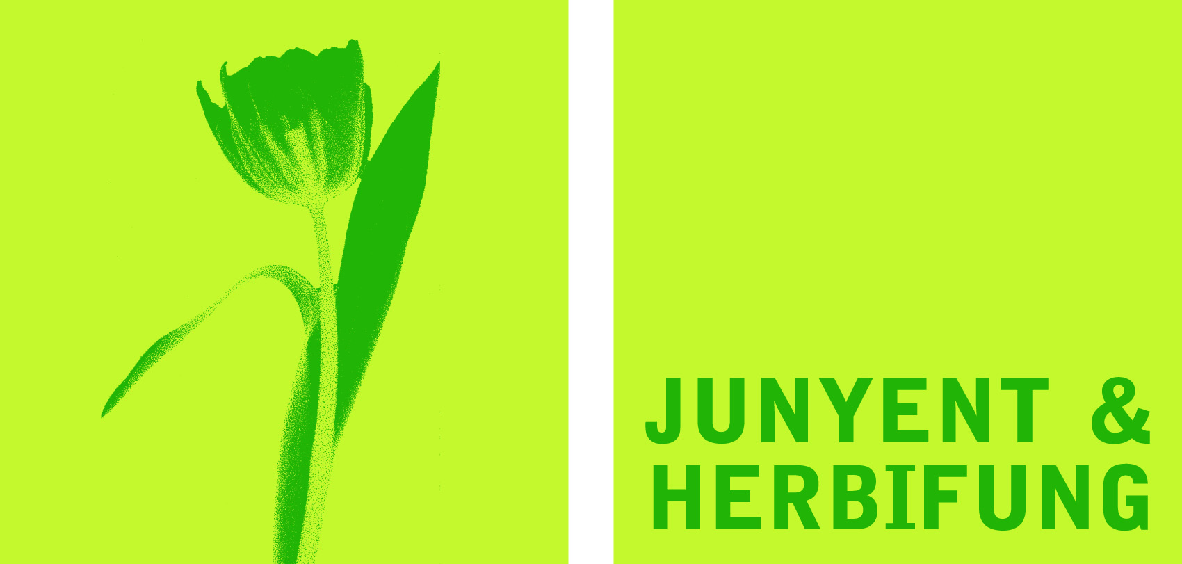 Logotip DROGUERIA JUNYENT HERBIFUNG SL