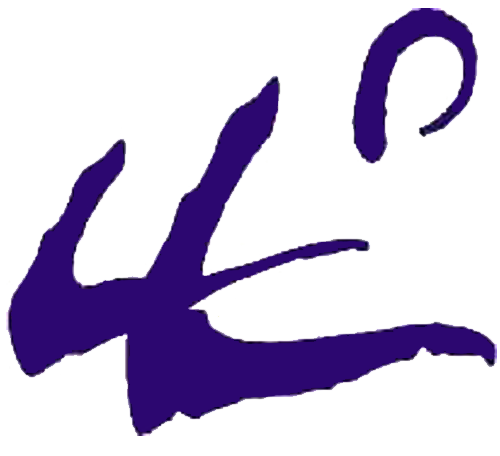 Logotip Consell Esportiu d'Osona
